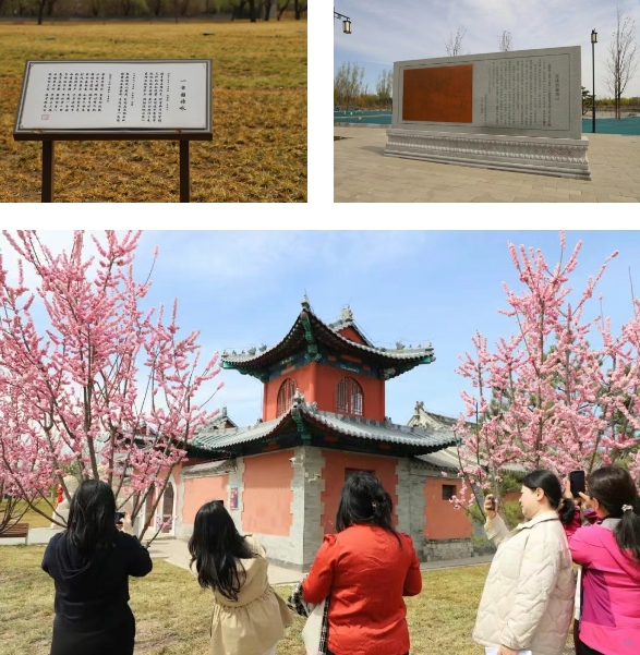 微信截图_20260331083356.png