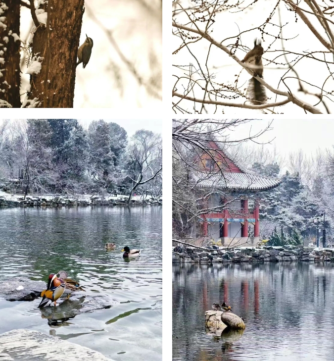 微信截图_20260309081548.png