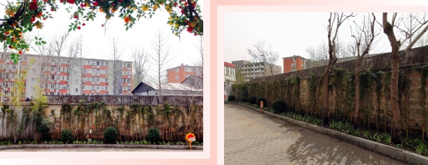 微信截图_20260403084020.png