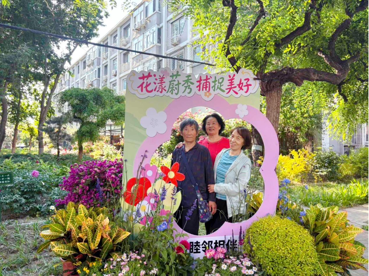 图片1.png 图片1.png